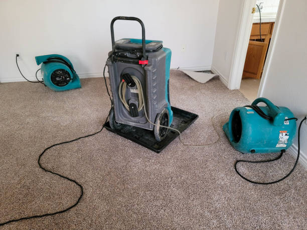 Best Professional water damage repair  in Duncannon, PA
