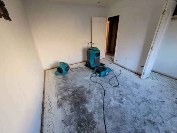 Best Flooded house restoration  in Duncannon, PA