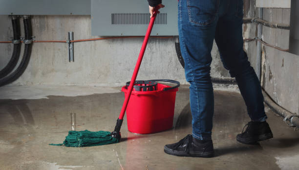 Best Water damage contractors near me  in Duncannon, PA