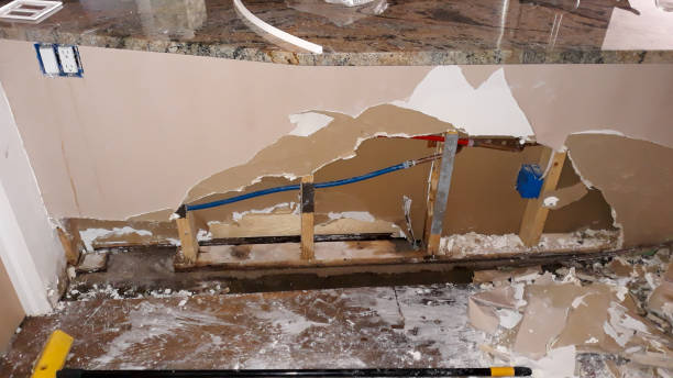 Best Carpet water damage restoration  in Duncannon, PA
