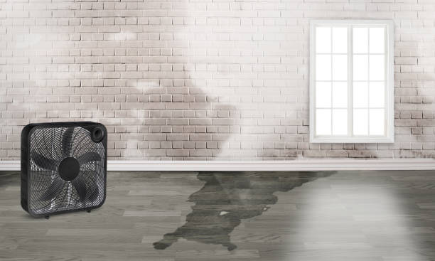 Best Residential water damage restoration  in Duncannon, PA