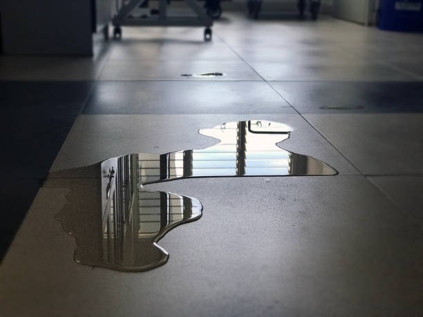 Best Professional water damage repair  in Duncannon, PA