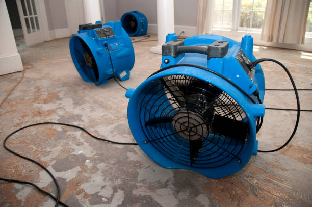 Best Local water damage restoration  in Duncannon, PA
