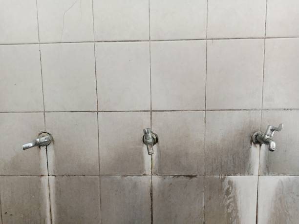Best Basement water damage restoration  in Duncannon, PA