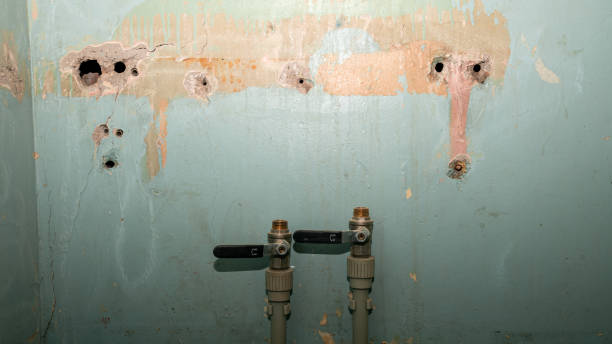 Best Fire Damage Restoration  in Duncannon, PA