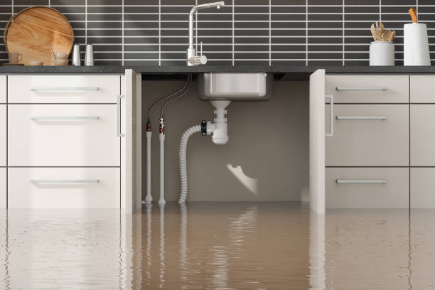Best Flood restoration services  in Duncannon, PA