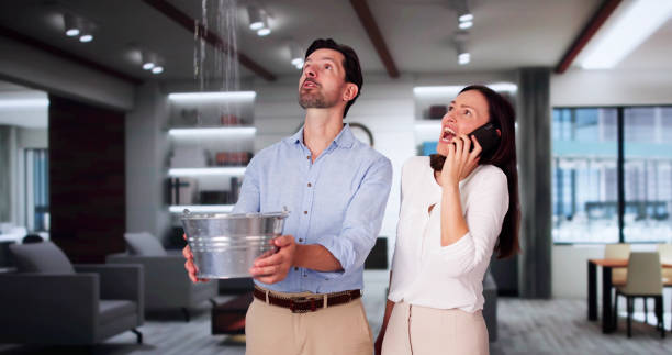 Best Water damage mitigation services  in Duncannon, PA